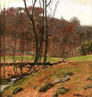 Woodland Stream