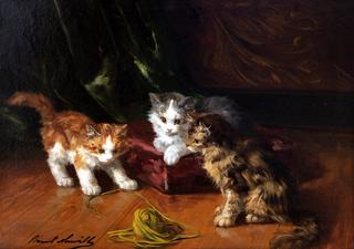 three kittens