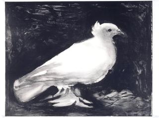 Dove