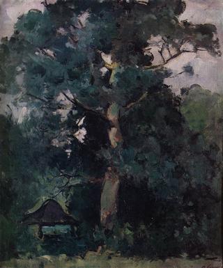Pine Tree
