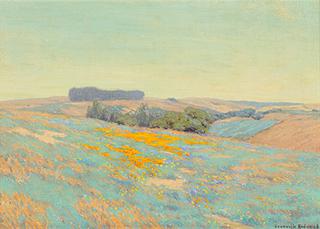 Poppies and Lupine