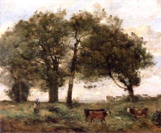 Wooded Swamps with Three Cows