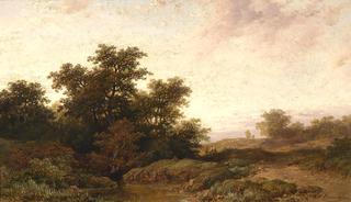 Open Landscape in the Evening Light