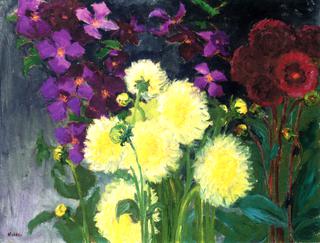 Clematis and Dahlias