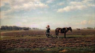 Ploughing