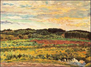 Evening Landscape