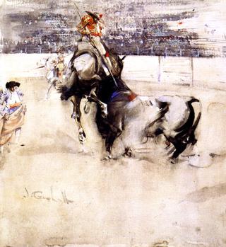 The Bullfight