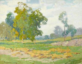 Eucalyptus and Green Fields