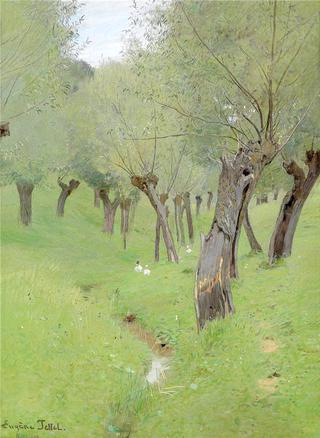 Willows