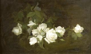 White Roses