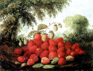 Strawberries Spilling from a Basket and Growing on a Bush