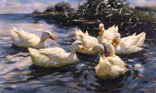 Six Ducks