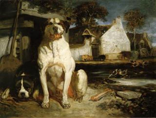 Watchdogs