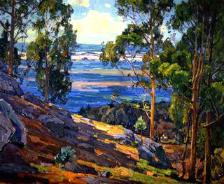 Eucalyptus Trees and Bay