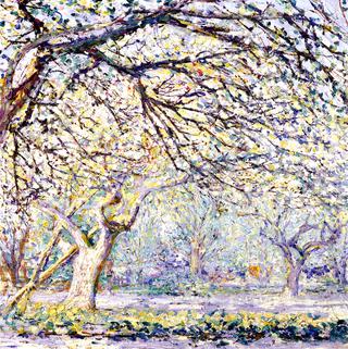 Amidst Flowering Trees