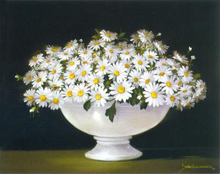 Summer Greetings