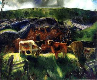 Cattle and Pig Pen