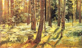 Ferms in a forest (etude)