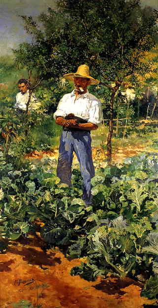 En el campo