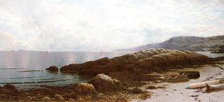 Coastal Scene