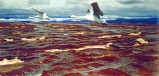 Swans on the Kama River