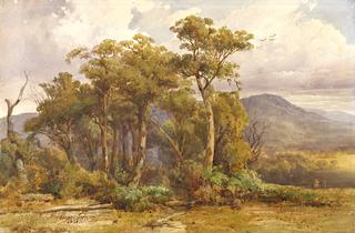 Yarra Flats