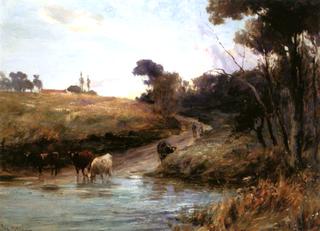 Cattle Watering