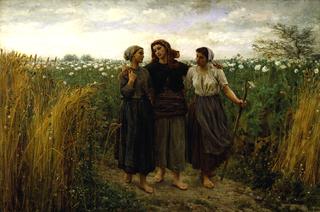 Returning from the Fields