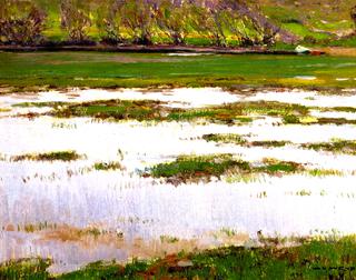 San Francisco Marshes