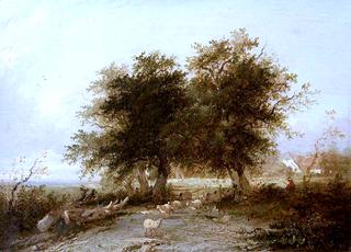 Landscape