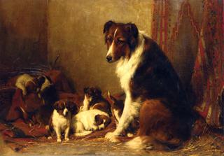 A Collie and Her Puppies