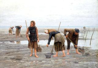 Clam Gatherers