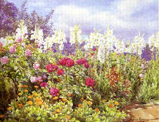 Our Lady's Flowers