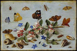Butterflies and other insects