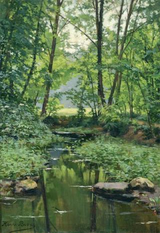 Effet de lumière sur le ruisseau