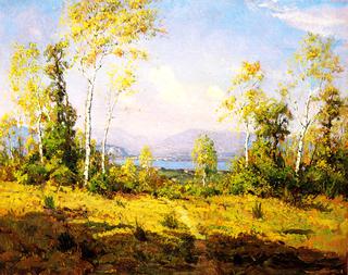 Lake Maggiore in Oleggio Castello