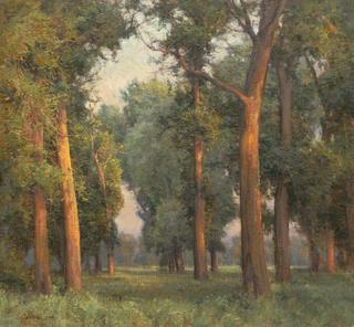 Evening Cottonwoods