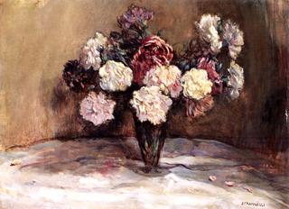 Carnations