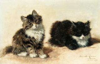 banjo and his brother