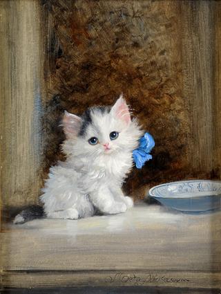 Kitten