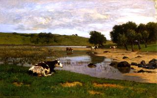 Cows Watering