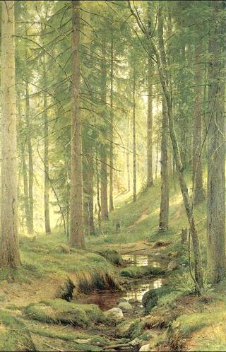 Brook in a forest