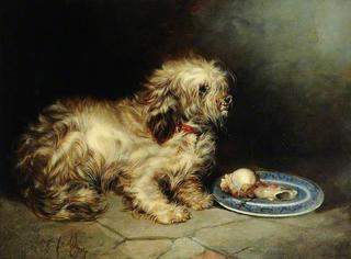 Terrier