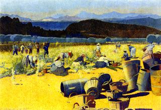 Grape Harvest (var)