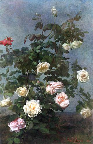 Spray of Roses