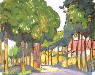 Road Lined with Trees
