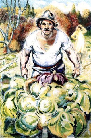 Peasant with Cauliflowers