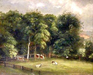 Cows in a Wooded Paddock