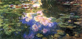 Water Lilies