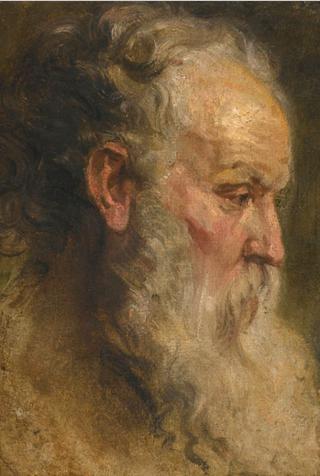Head of a Bearded Man